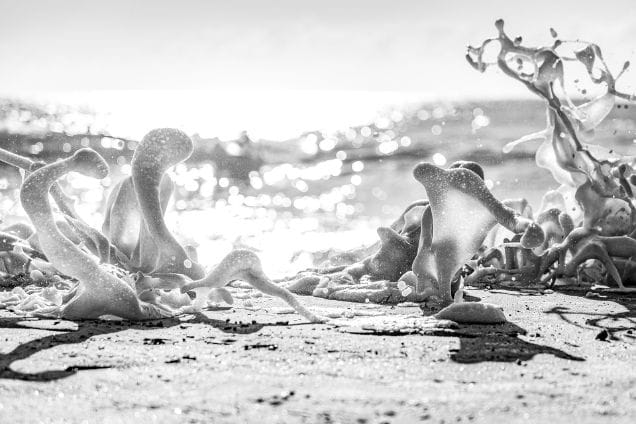 Mathieu Guinand photograph