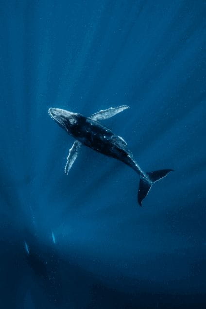 Milly Mead Capture magazine photograph