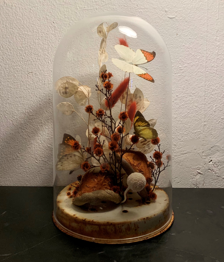 Taylor Dale's winning Sibella Court Interior Design Scholarship submission - a cloche vignette of a butterfly in nature.