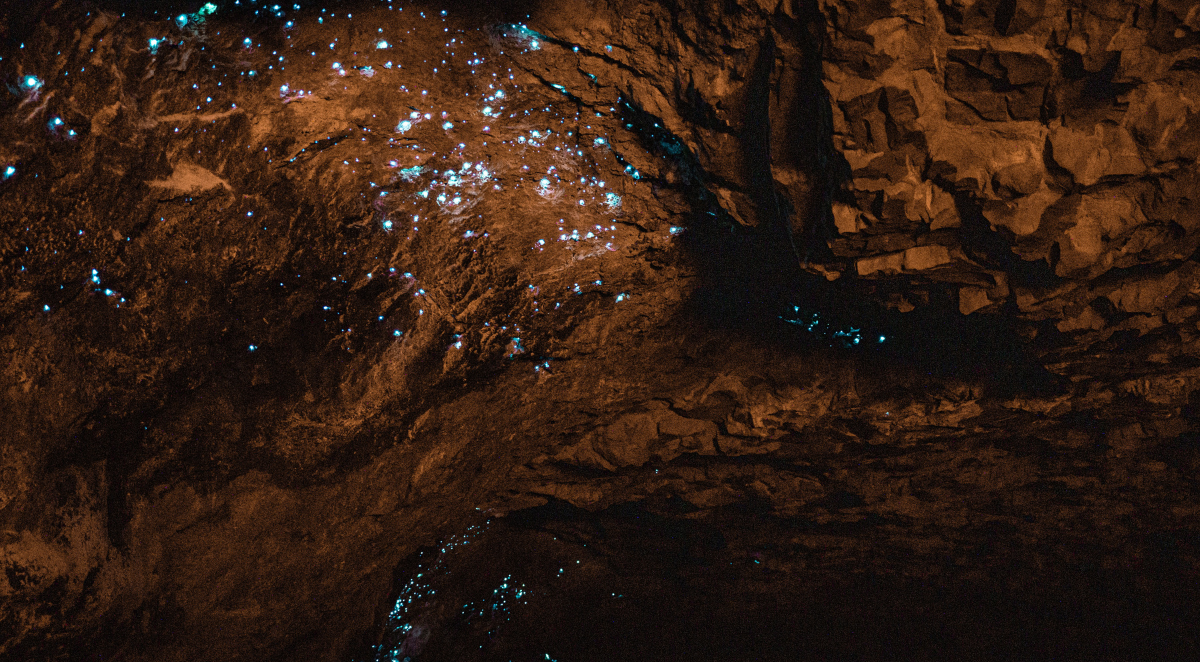 Glow worm cave getaway