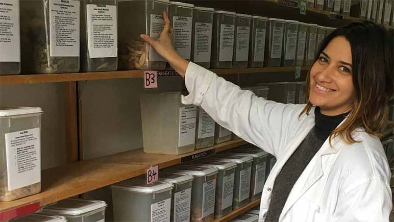 Chinese medicine student