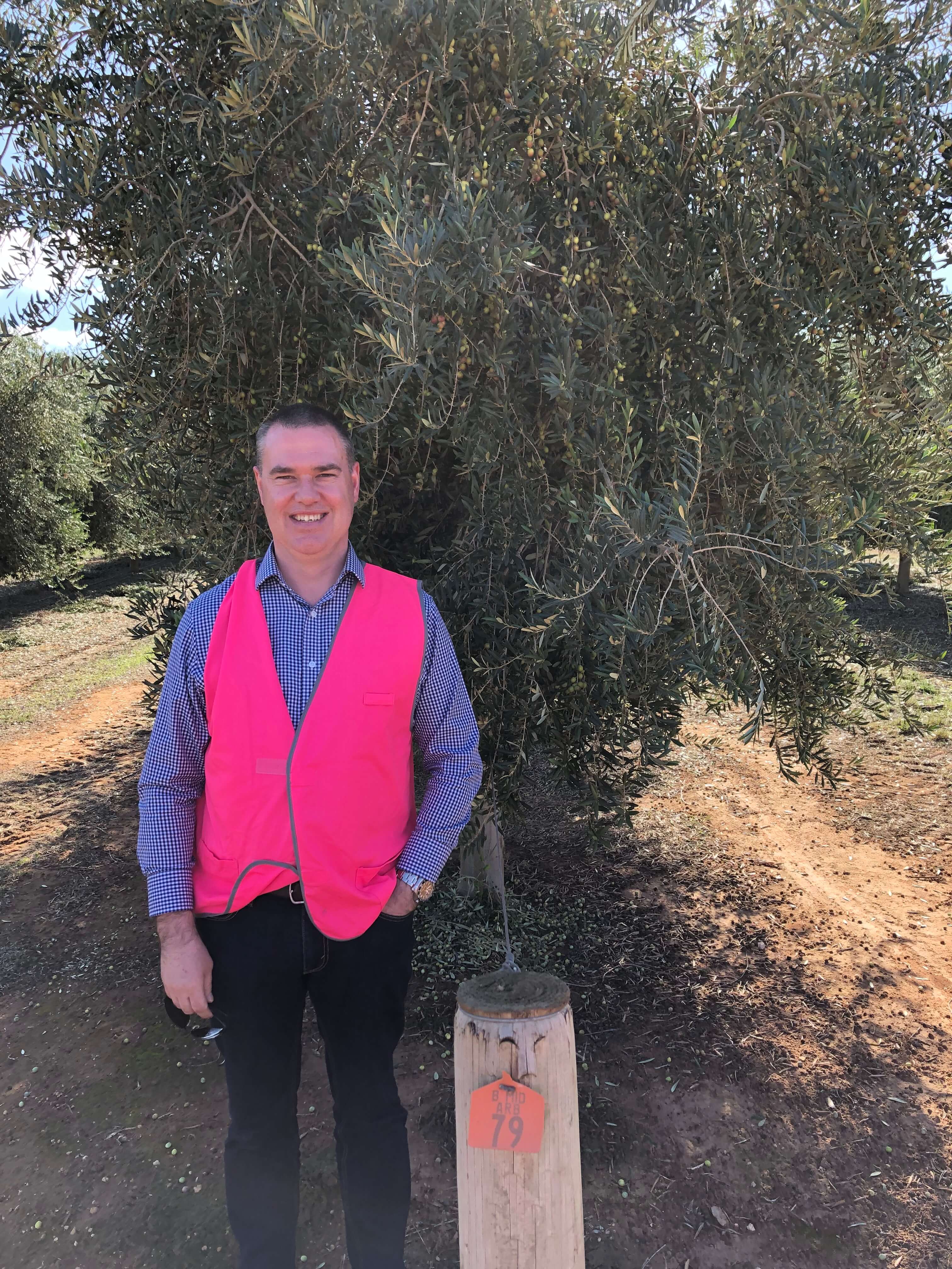 Ian at an olive grove