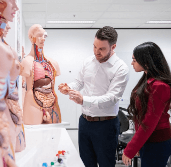 Lecturer showing student anatomy figure