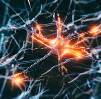 XR and 3D neural pathway visualisation