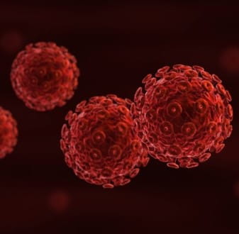 HIV cells under the microscope