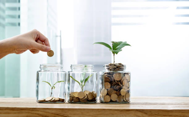 Three plants at different stages of growth represent the importance of saving money to achieve your financial goals