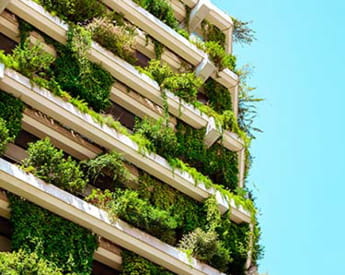 CHSD | Torrens University