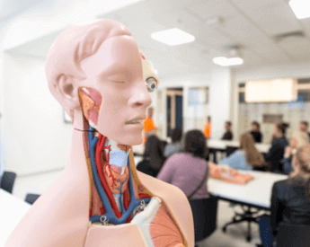 Torrens University Australia Events | Health | Model Anatomy