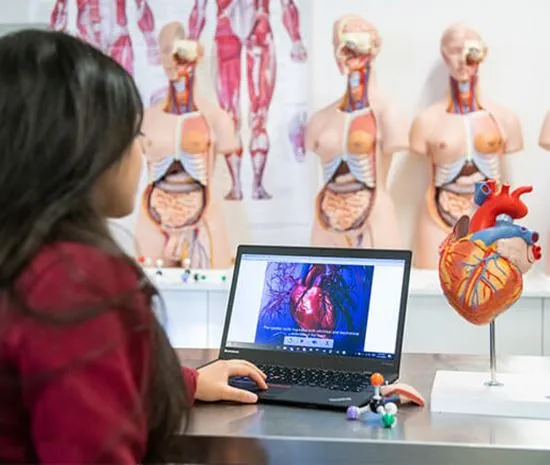 Health Course Images Online Diploma of Health & Wellbeing | Torrens University