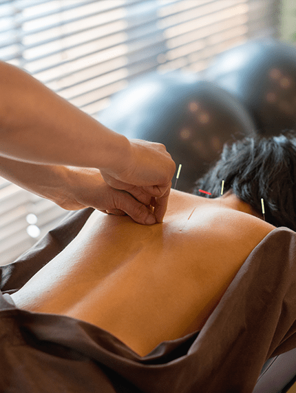 ssnt-souther-school-of-natural-therapies-torrens-university-health-tua