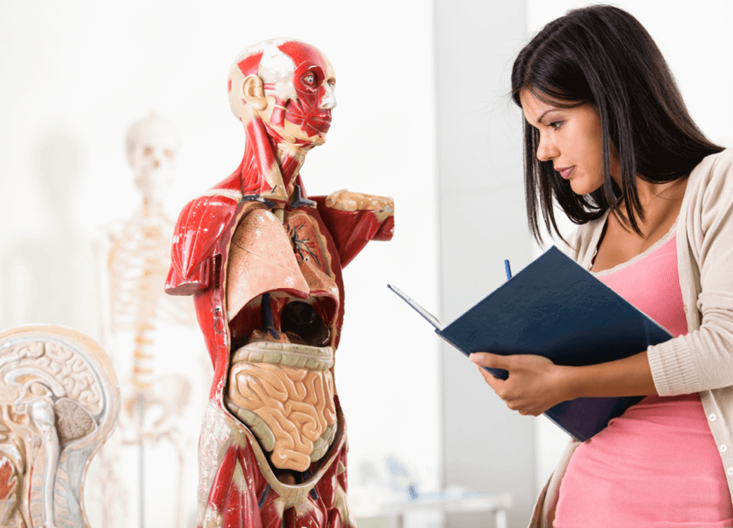 Health Courses | Anatomy  | Torrens University