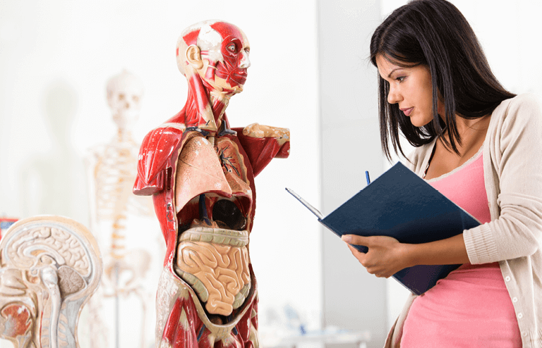 Health Courses | Anatomy  | Torrens University