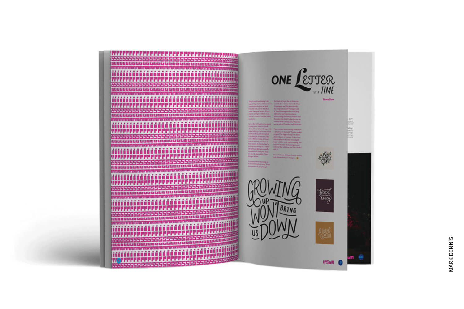 Diploma of Design Mark Dennis student work