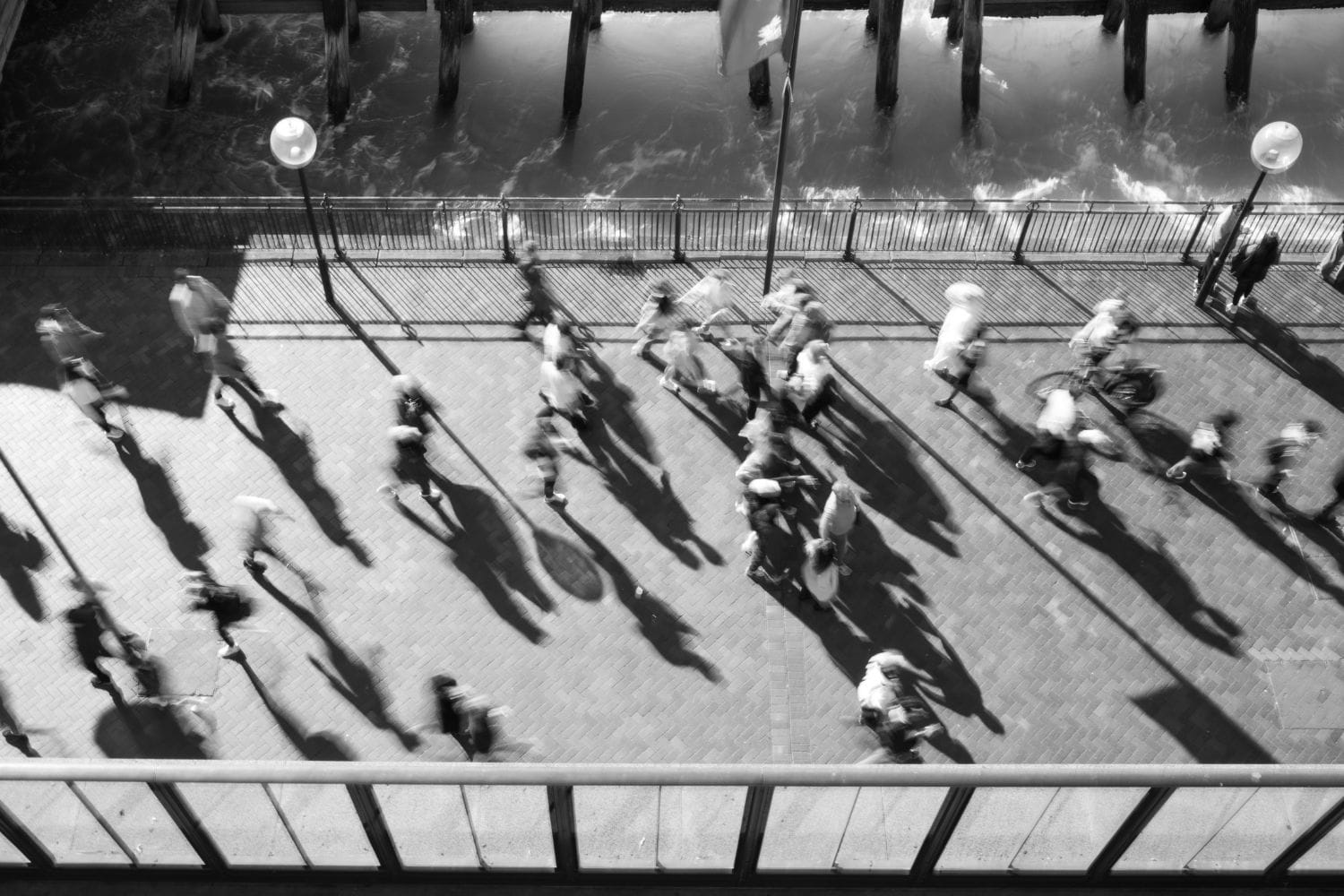 Undergraduate Certificate of Photography Zachary Maalouf student work