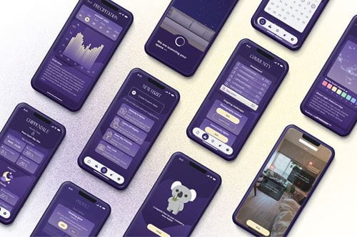 UX and Web Design Calista Cartadinata, Inga Kilchevskaia, Suyeon Kim student work
