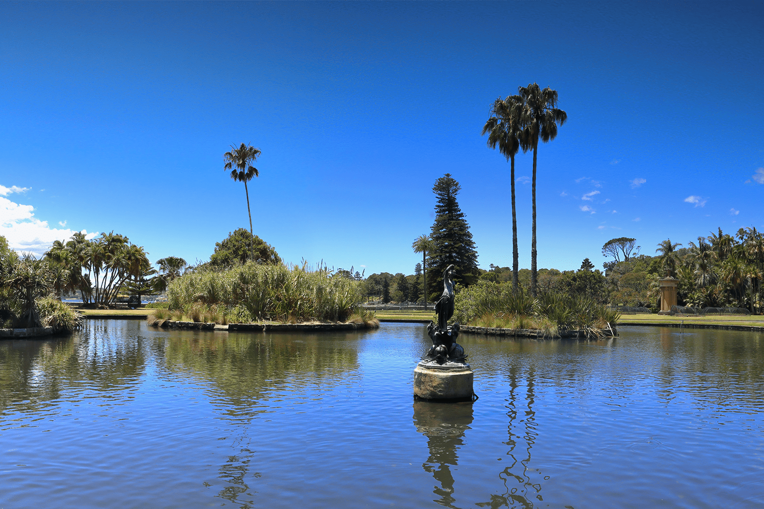 Study in sydney | Torrens University