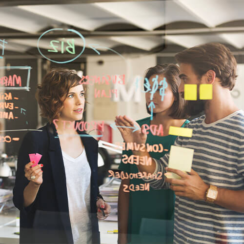 Business specialisation courses and degrees