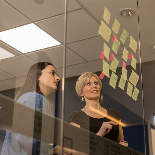 Project Management courses and degrees