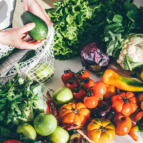 Nutrition courses and degrees