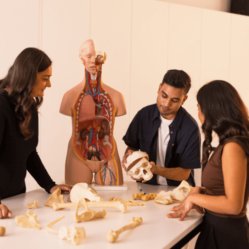 Health Faculty Hero | Torrens University