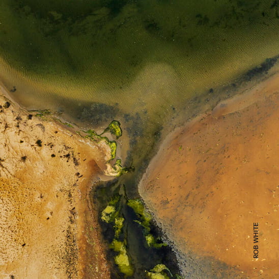 Photography, Film and Video Courses | Rob White