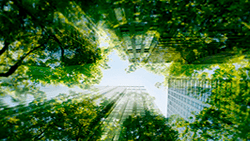 Sustainability and security | Torrens University